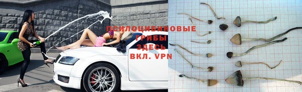 MDMA Premium VHQ Пересвет